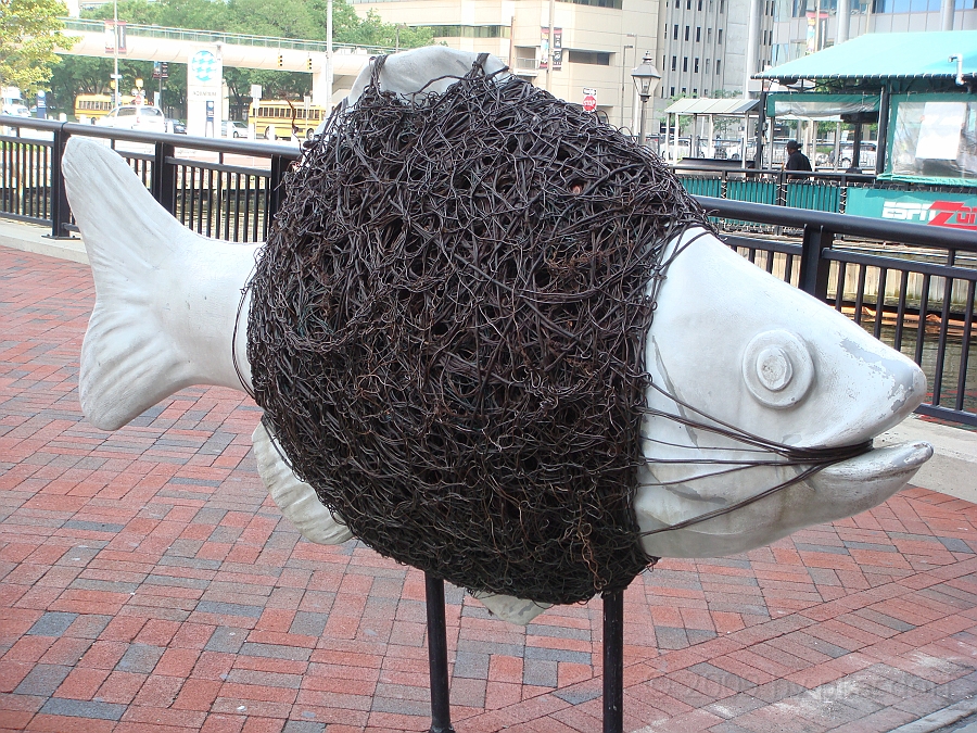 Baltimore [2009 July 02] 050.JPG - Scenes from Baltimore's Inner Harbor.